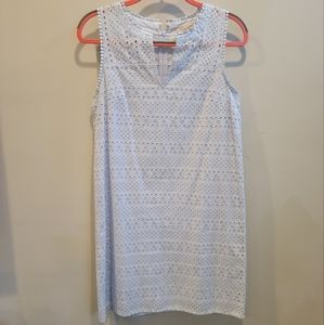 Loft Light Blue Lace Dress